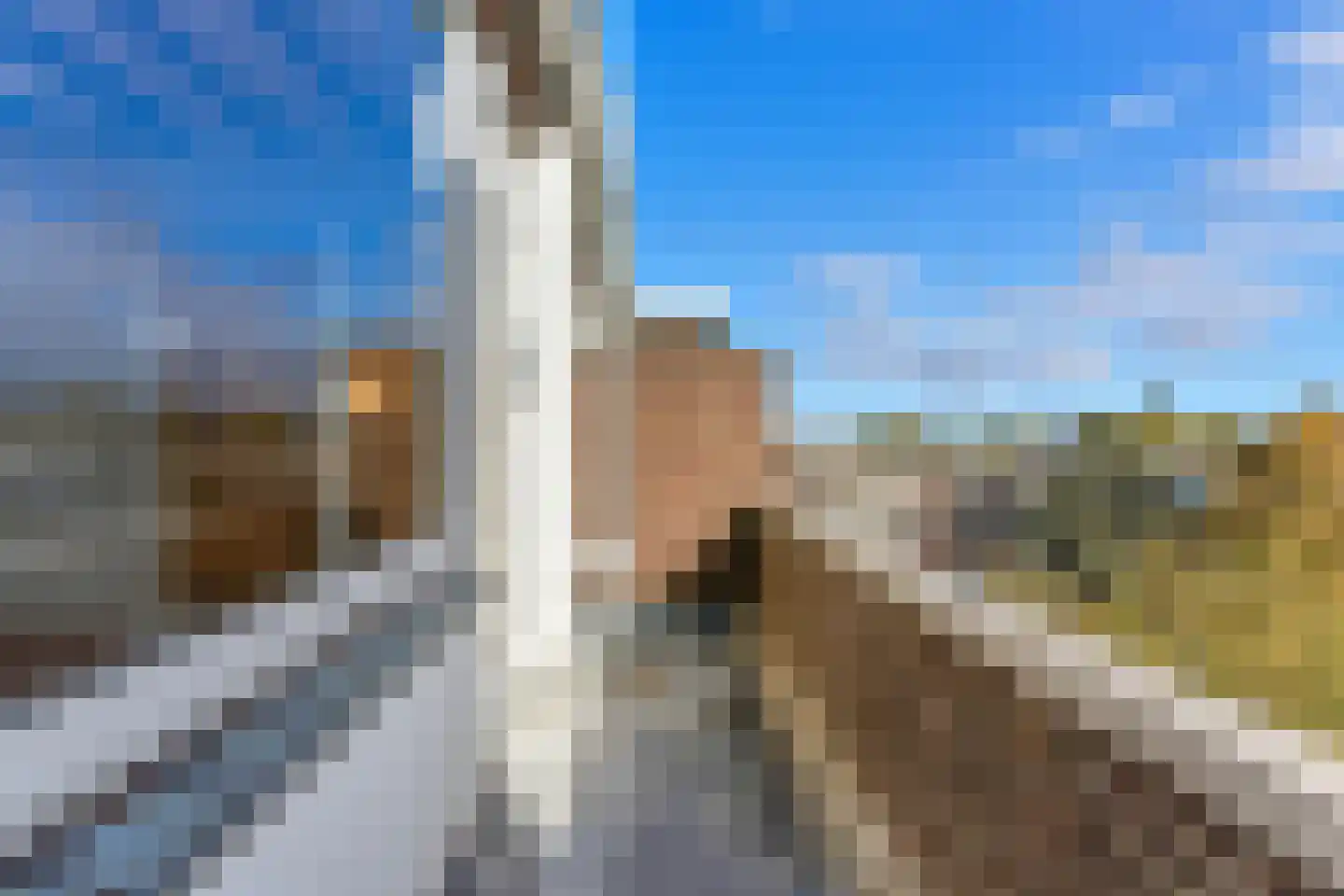 Stadhoudersweg 116 D Rotterdam thumbnail 37