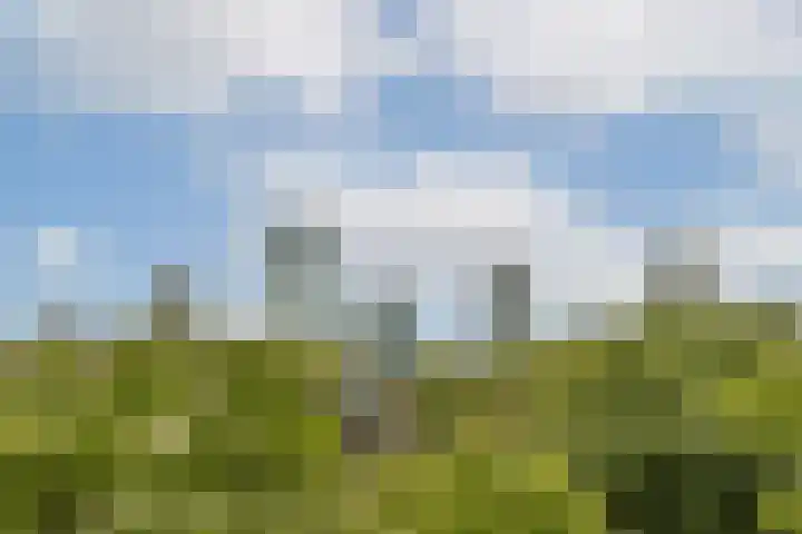 Stadhoudersweg 118 D Rotterdam thumbnail 31