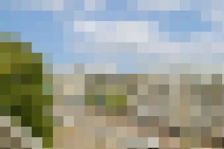 Stadhoudersweg 118 D Rotterdam thumbnail 32