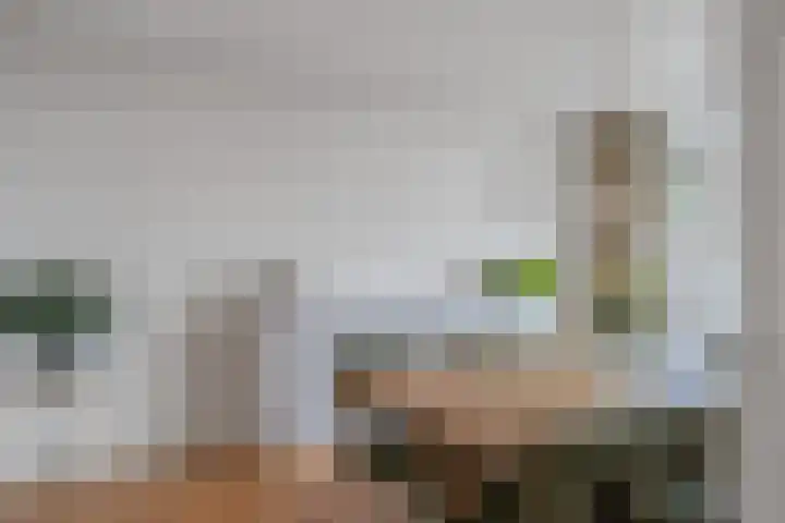 Stadhoudersweg 119 A Rotterdam thumbnail 10