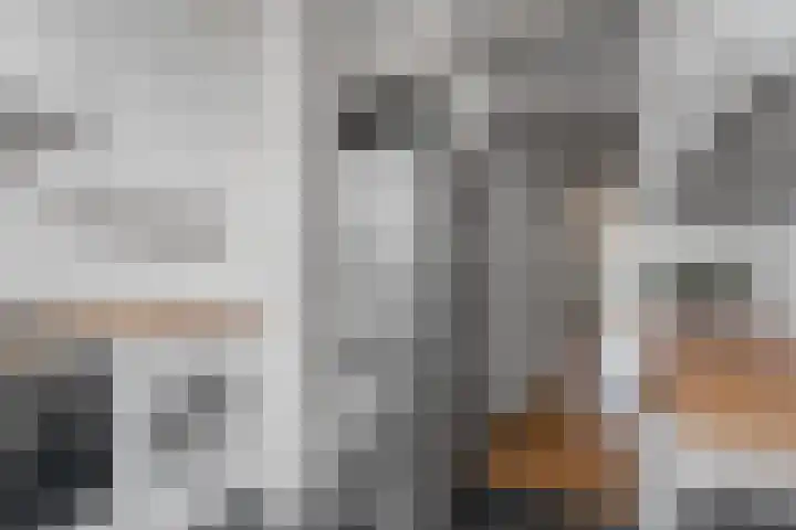 Stadhoudersweg 119 A Rotterdam thumbnail 13