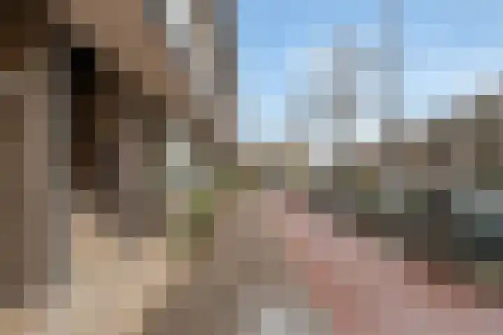 Stadhoudersweg 119 A Rotterdam thumbnail 33