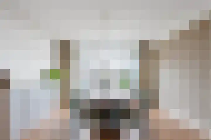 Stadhoudersweg 119 A Rotterdam thumbnail 8