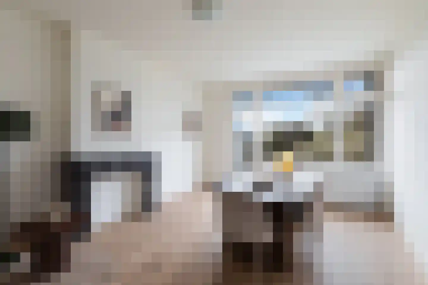 Stadhoudersweg 120 A Rotterdam thumbnail 15