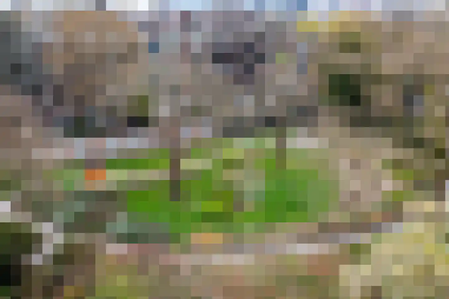 Stadhoudersweg 120 D Rotterdam thumbnail 35