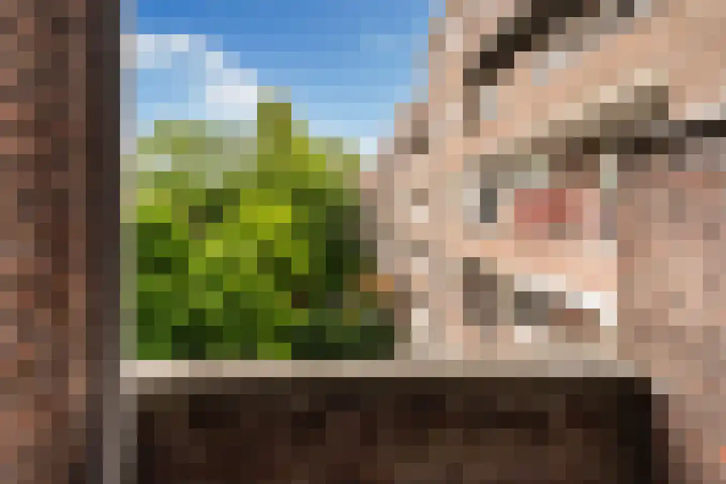 Stadhoudersweg 122 B Rotterdam thumbnail 20