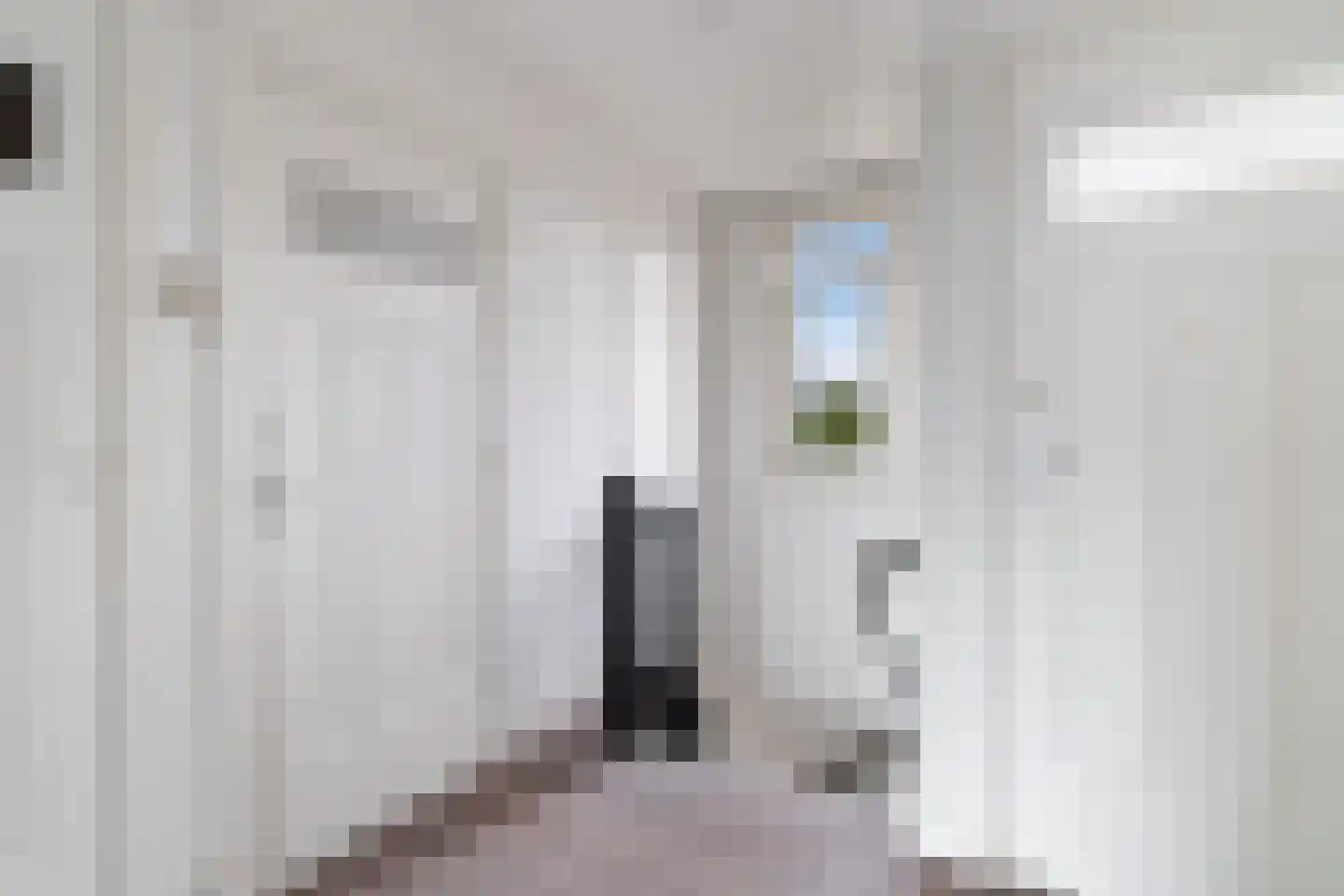Stadhoudersweg 122 B Rotterdam thumbnail 21