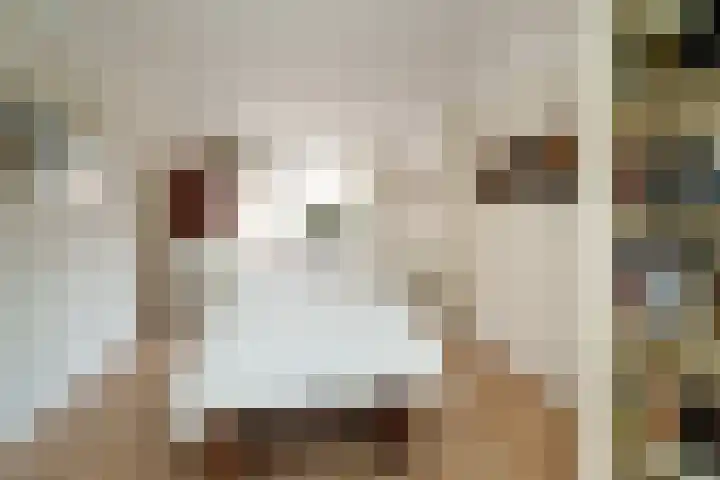 Stadhoudersweg 123 D Rotterdam thumbnail 10