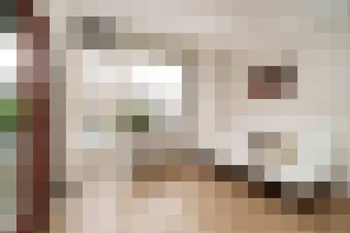 Stadhoudersweg 123 D Rotterdam thumbnail 11