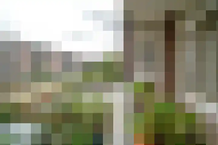 Stadhoudersweg 123 D Rotterdam thumbnail 12