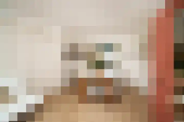 Stadhoudersweg 123 D Rotterdam thumbnail 13