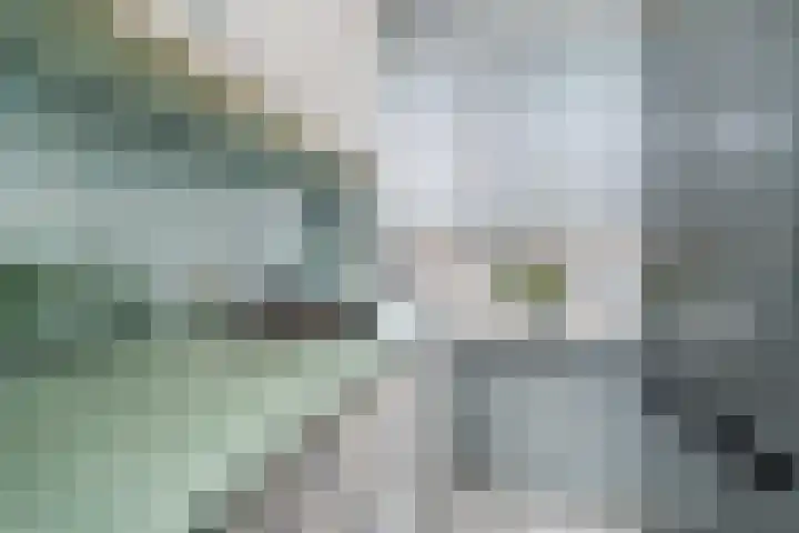 Stadhoudersweg 123 D Rotterdam thumbnail 14