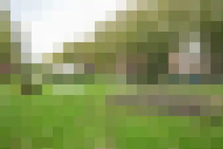 Stadhoudersweg 123 D Rotterdam thumbnail 24