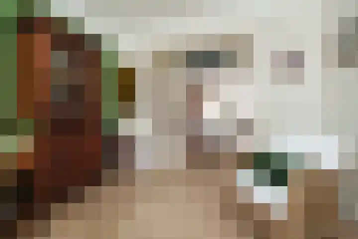 Stadhoudersweg 123 D Rotterdam thumbnail 5