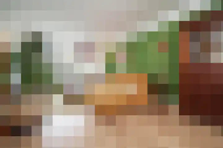 Stadhoudersweg 123 D Rotterdam thumbnail 8