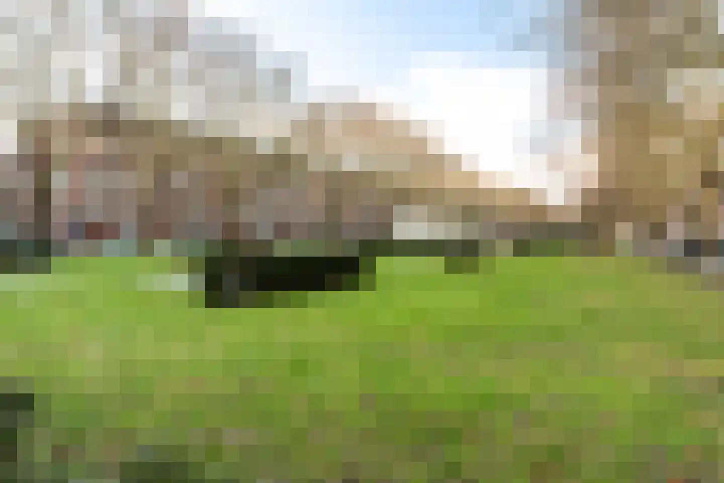 Stadhoudersweg 125 B Rotterdam thumbnail 13