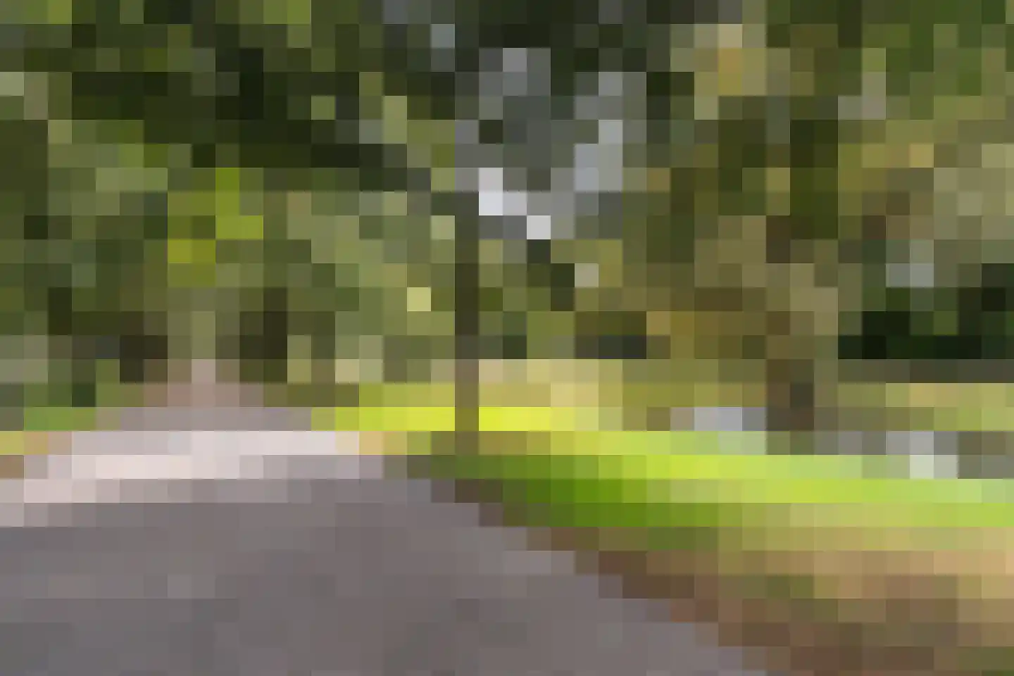 Stadhoudersweg 125 B Rotterdam thumbnail 14