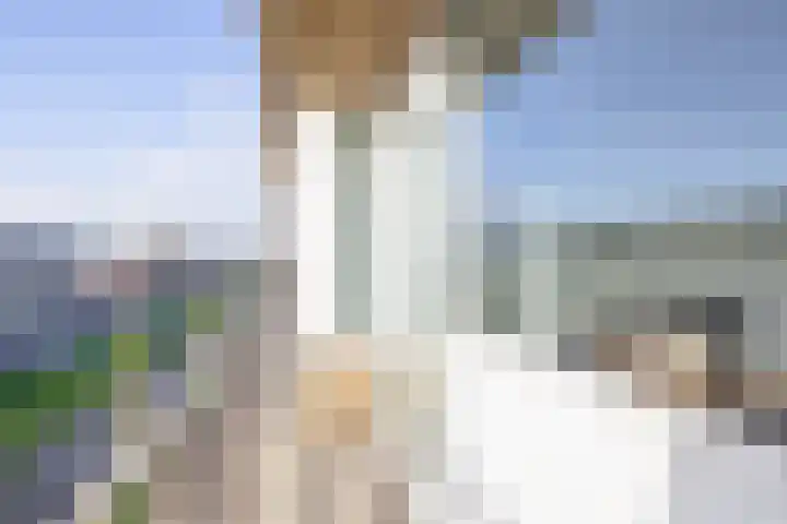 Stadhoudersweg 135 B Rotterdam thumbnail 18