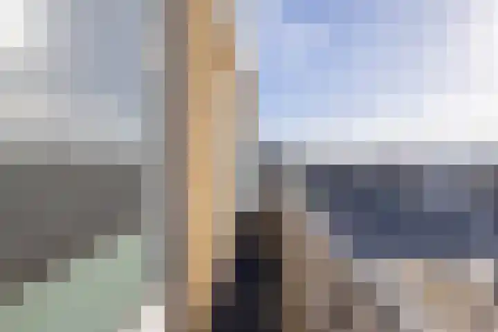 Stadhoudersweg 135 B Rotterdam thumbnail 27