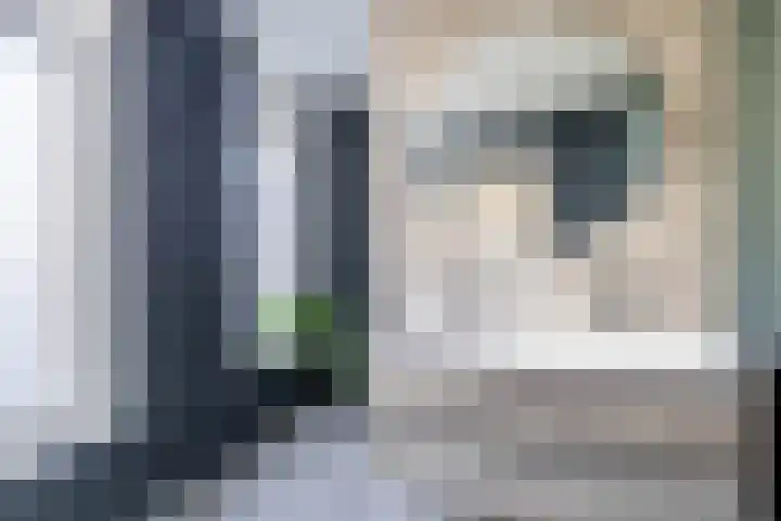 Stadhoudersweg 135 B Rotterdam thumbnail 4