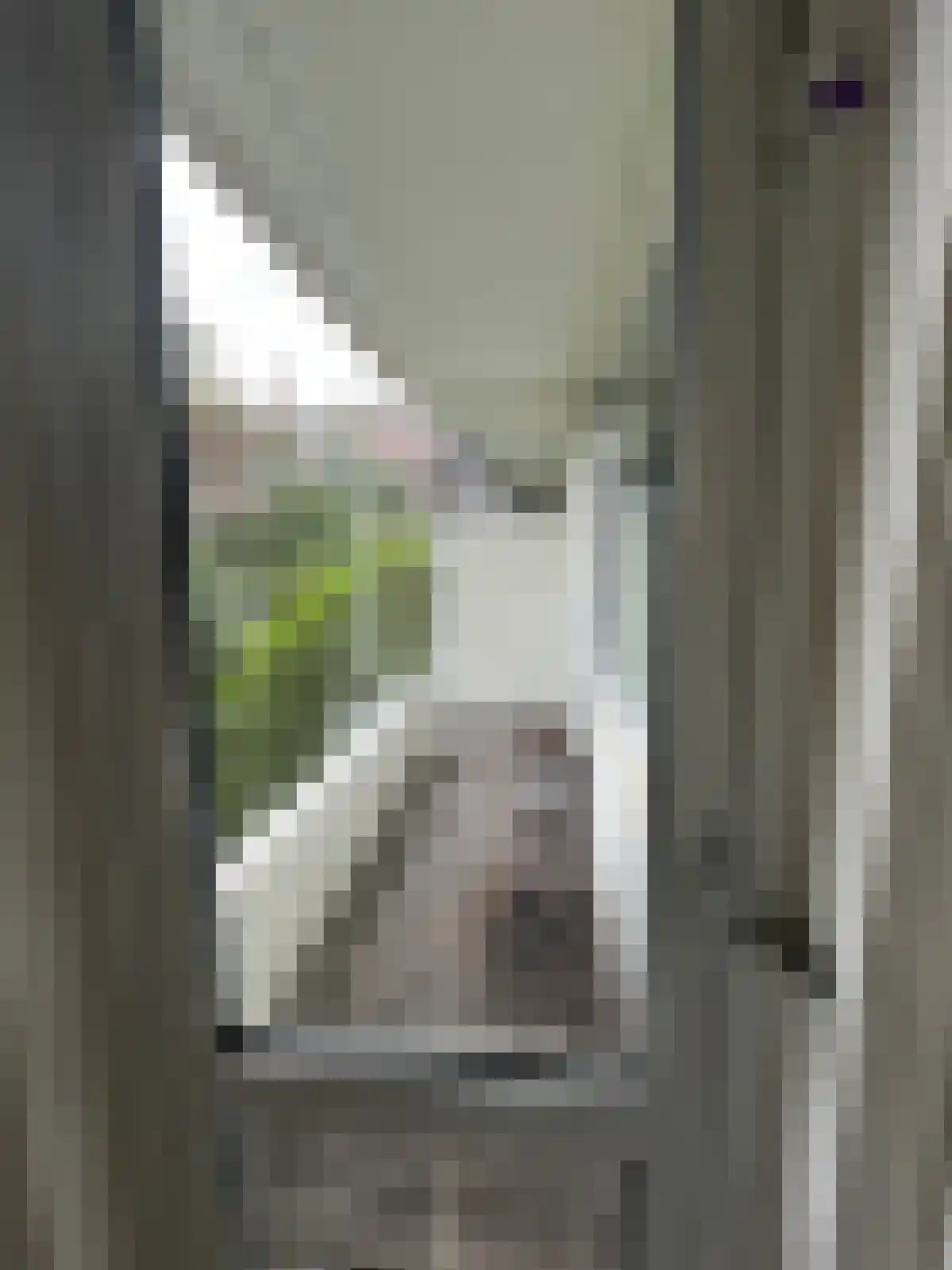 Stadhoudersweg 144 D Rotterdam thumbnail 6