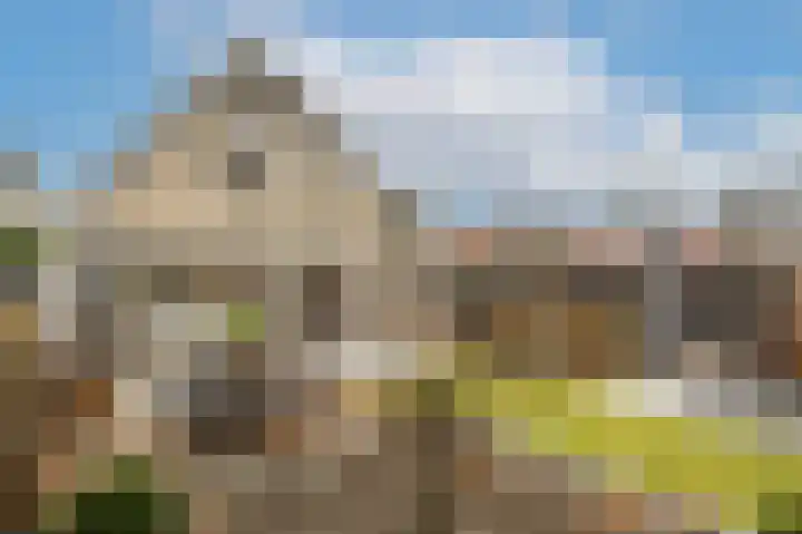 Stadhoudersweg 21 Nieuw-Beijerland thumbnail 29