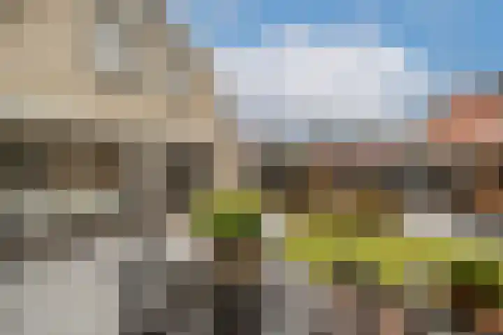 Stadhoudersweg 21 Nieuw-Beijerland thumbnail 30