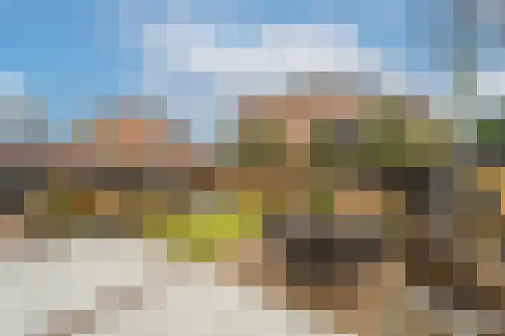 Stadhoudersweg 21 Nieuw-Beijerland thumbnail 31