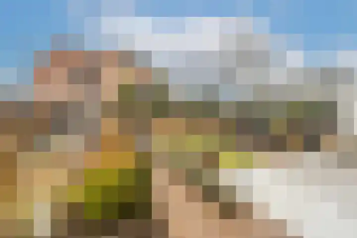 Stadhoudersweg 21 Nieuw-Beijerland thumbnail 32