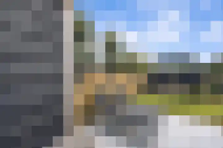 Stadhoudersweg 21 Nieuw-Beijerland thumbnail 34