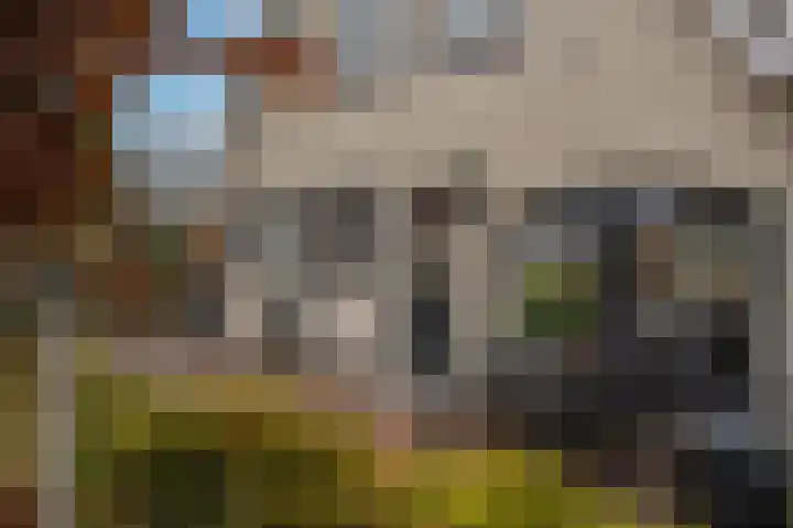 Stadhoudersweg 21 Nieuw-Beijerland thumbnail 36