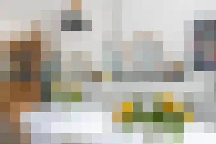 Stadhoudersweg 22 A Rotterdam thumbnail 13