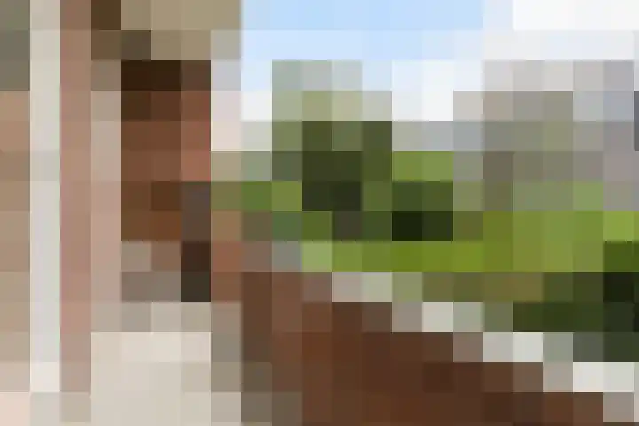 Stadhoudersweg 22 A Rotterdam thumbnail 30