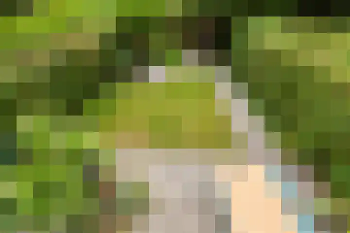 Stadhoudersweg 22 A Rotterdam thumbnail 31