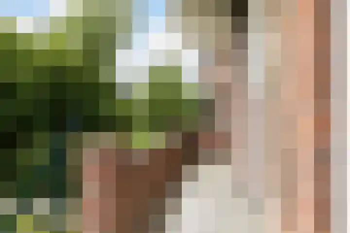 Stadhoudersweg 22 A Rotterdam thumbnail 32