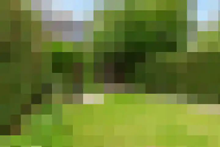 Stadhoudersweg 22 A Rotterdam thumbnail 33