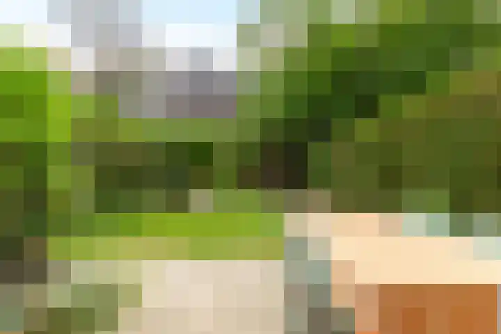 Stadhoudersweg 22 A Rotterdam thumbnail 34