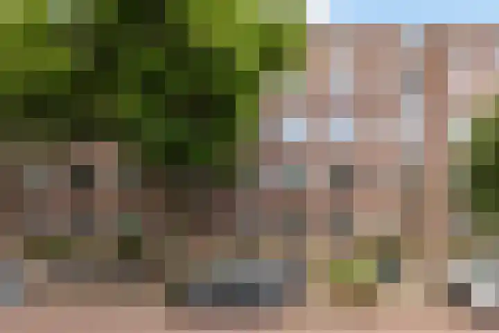 Stadhoudersweg 22 A Rotterdam thumbnail 4