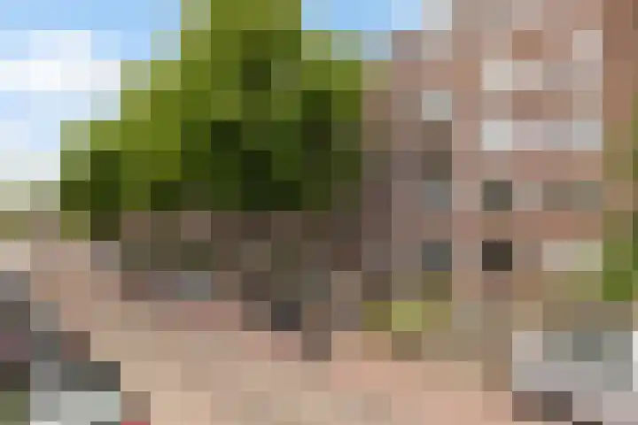Stadhoudersweg 22 A Rotterdam thumbnail 42