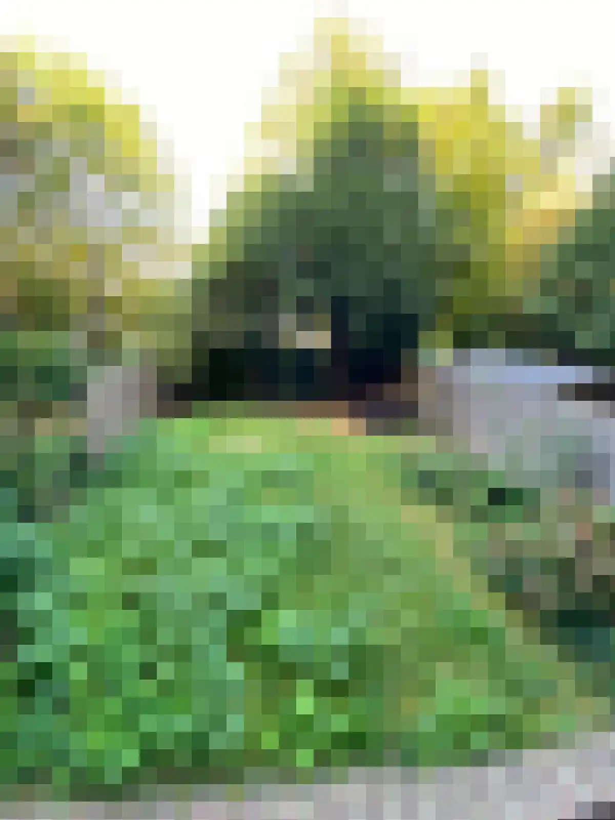 Stadhoudersweg 27 A Rotterdam thumbnail 6