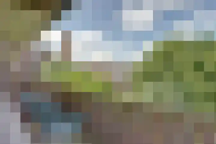 Stadhoudersweg 29 B Rotterdam thumbnail 5