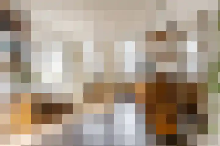 Stadhoudersweg 3 B Rotterdam thumbnail 11