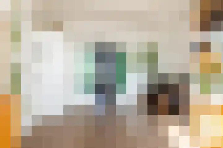 Stadhoudersweg 3 B Rotterdam thumbnail 12