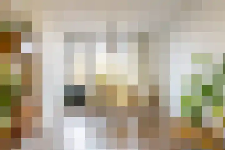 Stadhoudersweg 3 B Rotterdam thumbnail 14