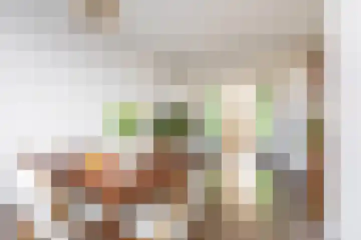 Stadhoudersweg 3 B Rotterdam thumbnail 17