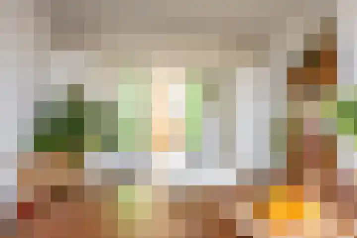Stadhoudersweg 3 B Rotterdam thumbnail 18