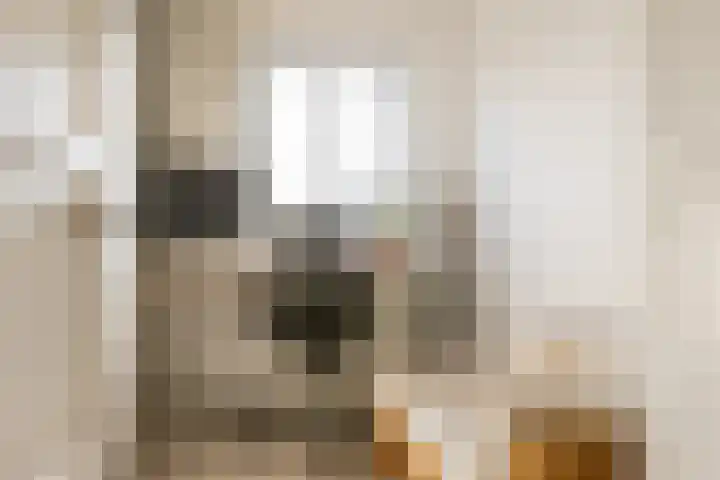 Stadhoudersweg 3 B Rotterdam thumbnail 25