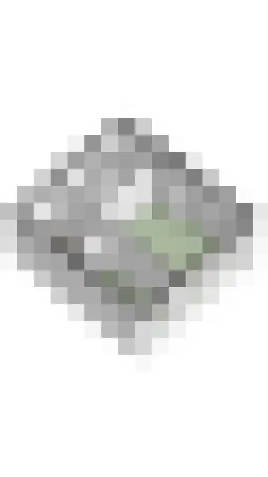 Stadhoudersweg 3 B Rotterdam thumbnail 32