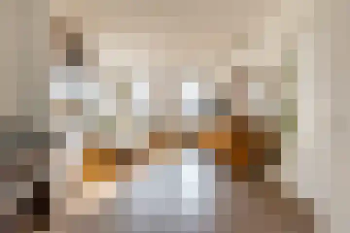 Stadhoudersweg 3 B Rotterdam thumbnail 9