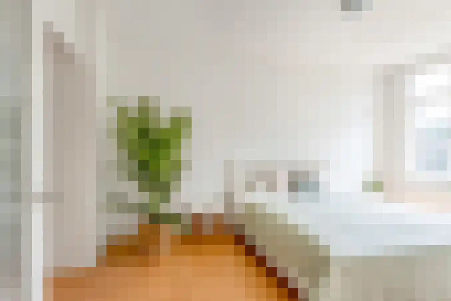 Stadhoudersweg 32 B Rotterdam thumbnail 16